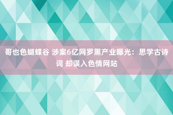 哥也色蝴蝶谷 涉案6亿网罗黑产业曝光：思学古诗词 却误入色情网站