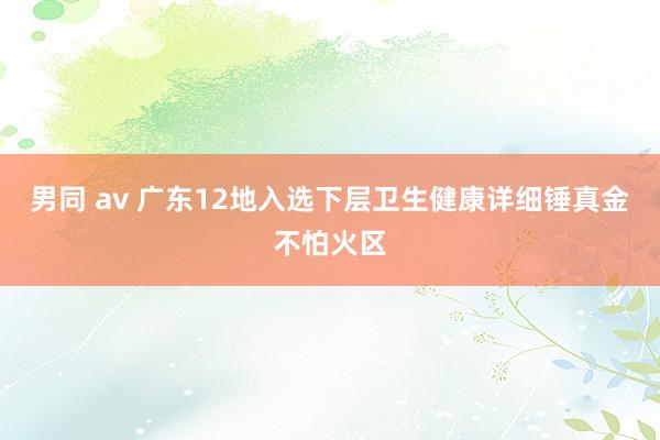 男同 av 广东12地入选下层卫生健康详细锤真金不怕火区