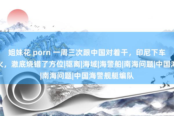 姐妹花 porn 一周三次跟中国对着干，印尼下车来源的三把火，澈底烧错了方位|驱离|海域|海警船|南海问题|中国海警舰艇编队