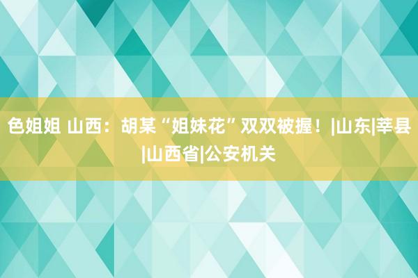 色姐姐 山西：胡某“姐妹花”双双被握！|山东|莘县|山西省|公安机关