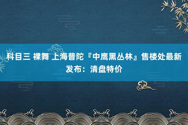 科目三 裸舞 上海普陀『中鹰黑丛林』售楼处最新发布：清盘特价