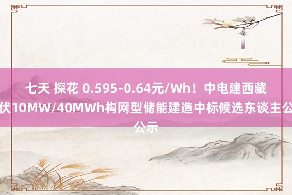 七天 探花 0.595-0.64元/Wh！中电建西藏光伏10MW/40MWh构网型储能建造中标候选东谈主公示